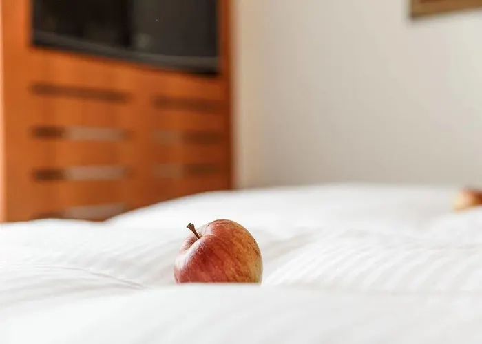 Hotel Goritschniggs - Self Check-in Neu